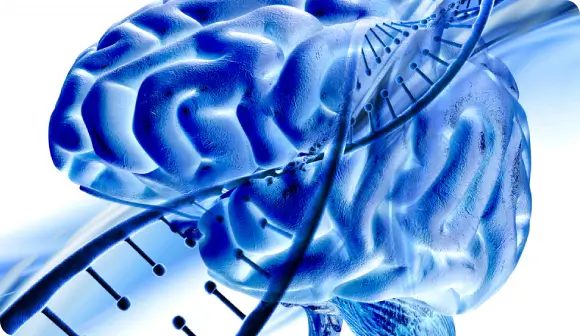 Anxiety Relief & Neuro-Inflammation Protocols