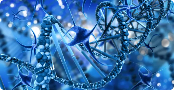 Regenerative Protein Array therapy supporting cellular signaling and repair processes Digital visualization of biologic signaling proteins and neurological communication pathways used in cell-free Advanced Regenerative (ARM) therapy for neuroinflammation.