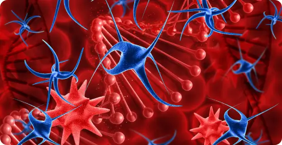 Biological rendering of angiogenesis and new blood vessel formation stimulated by SoftWave Therapy to improve tissue perfusion.