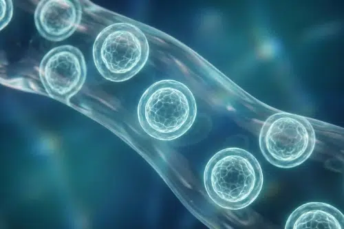 Microscopic rendering of healthy biological cells suspended in a regenerative matrix for joint repair.